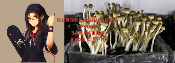 спиды Приозерск