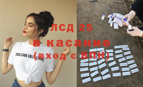 прущие грибы Абинск