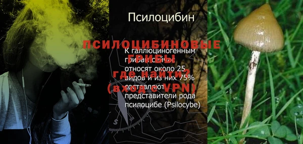 марки lsd Алзамай