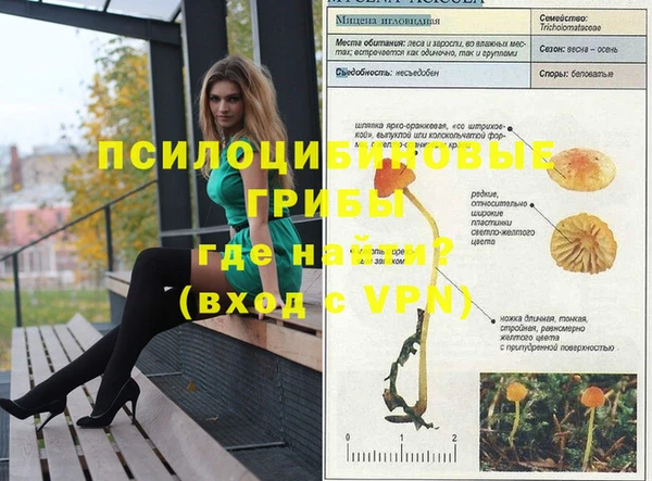 прущий лед Алексеевка